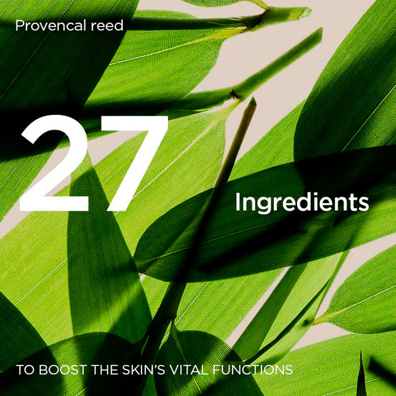 Close-up image of green Provençal reed leaves with large white text reading ‘27 Ingredients’ and the caption ‘To boost the skin’s vital functions.